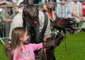 Falconer and girl at Westmorland Show