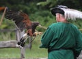 Falconry in action with man, hawk and jesses