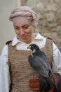 Falconry Display Royalty Free Stock Photo