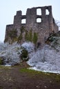 Wall of castle ruin with plants on snowy day Royalty Free Stock Photo