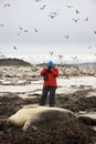 Falkland Islands - Tourist photographing seals