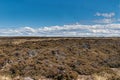 Wide windswept landscape with brown bushes on Falklands, UK