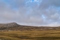 Windsweps rural grassy landscape near Stanley, Falklands, UK