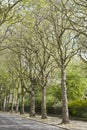 Falkner Square; Liverpool; England