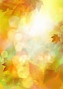 Illustrated Autumn Leaf And Sunlight Bokeh Background 