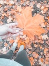 Fall Royalty Free Stock Photo