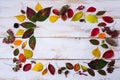 Fall acorns, leaves, cones frame on the white painted table