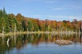 Fall at an Adirondack Beaver Pond Royalty Free Stock Photo