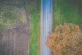 Fall aerial landscape of tree and road