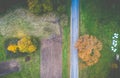 Fall aerial landscape of tree and road