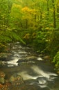 Fall along a white water stream in the Great Smoky Mountains. Royalty Free Stock Photo