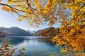 Fall in Alpsee lake