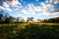 Fall Apple Tree with a Sunburst Royalty Free Stock Photo