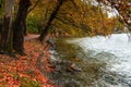 Fall around the lake Orestida, Kastoria Royalty Free Stock Photo