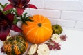 Fall Arrangement With Red Lily And Pumpkins