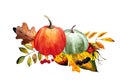 Fall arrangements with pumpkins, leaves, flowers, berries. Watercolor illustration