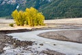 Fall arrives in the Lamar Valley in Yellowstone National Park, Wyoming Royalty Free Stock Photo