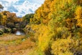 Fall Aspens Along a Wyoming River Royalty Free Stock Photo