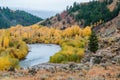 Fall Aspens Along a Wyoming River Royalty Free Stock Photo