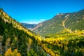 Fall Aspens at Guanella Pass in Colorado