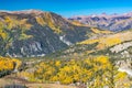 Fall Aspens in the Sun Juan Mountains of Colorado Royalty Free Stock Photo