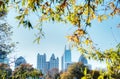Fall in Atlanta Royalty Free Stock Photo