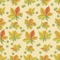 Fall. Autumn chestnut leaves, fruits. Fall background. Autumn time. Seamless pattern, template Royalty Free Stock Photo