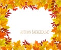 Fall Autumn Colorful Leaves Background frame. Royalty Free Stock Photo