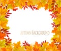 Fall Autumn Colorful Leaves Background. Royalty Free Stock Photo