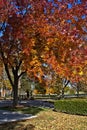 Fall, Autumn, colors, trees, bushes, red, orange, yellow, leaves, Kentucky, farm, country Royalty Free Stock Photo