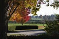 Fall, Autumn, colors, trees, bushes, red, orange, yellow, leaves, Kentucky, farm, country Royalty Free Stock Photo