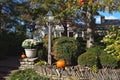 Fall, Autumn, colors, trees, bushes, red, orange, yellow, leaves, Kentucky, farm, country Royalty Free Stock Photo