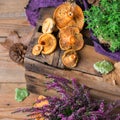 Fall autumn decorative festive thanksgiving background with milky saffron mushrooms Royalty Free Stock Photo