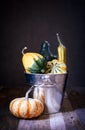 Fall, autumn decorative gourds and pumpkins in a shiny metal bucket on natural rustic wooden background Royalty Free Stock Photo