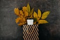 Fall autumn design concept of mockup paper recycled coffee cup and yellow leaves in shopping bag on dark background. Copy space