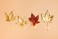 Fall and autumn flat lay with painted golden leaves on beige  background Royalty Free Stock Photo