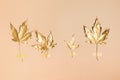 Fall and autumn flat lay with painted golden leaves on beige  background Royalty Free Stock Photo