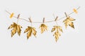 Fall and autumn flat lay with painted golden leaves on white background Royalty Free Stock Photo