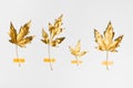 Fall and autumn flat lay with painted golden leaves on white background Royalty Free Stock Photo