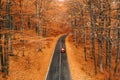 Fall autumn forest road in the middle of the forest with car pas Royalty Free Stock Photo