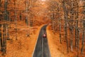 Fall autumn forest road in the middle of the forest with car pas