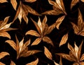Fall and Autumn Hand drawn Vector Dried Leaves Seamless pattern Royalty Free Stock Photo