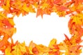 Fall - Autumn leaf border Royalty Free Stock Photo