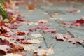 Fall autumn leaves on patio stone