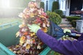 Fall or Autumn leaves with rake being put in container for yard clean up Royalty Free Stock Photo
