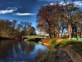 Fall. Autumn Park. Autumnal Trees and Leaves in sun rays Royalty Free Stock Photo