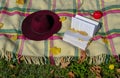 Fall/autumn picnic concept. Checkered blanket with fringes, red fedora, apple, and open book covered with yellow fallen leaves. Co Royalty Free Stock Photo