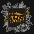 Fall autumn sale design. Autumn discount. Vector fall leaves. Vector sale poster. Hand drawn illustration with leaves, acorn