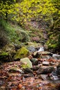 Fall autumn scenery in beautiful colorful forest with flowing brook river in ong exposure Royalty Free Stock Photo