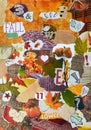 Fall, autumn season Atmosphere mood board collage